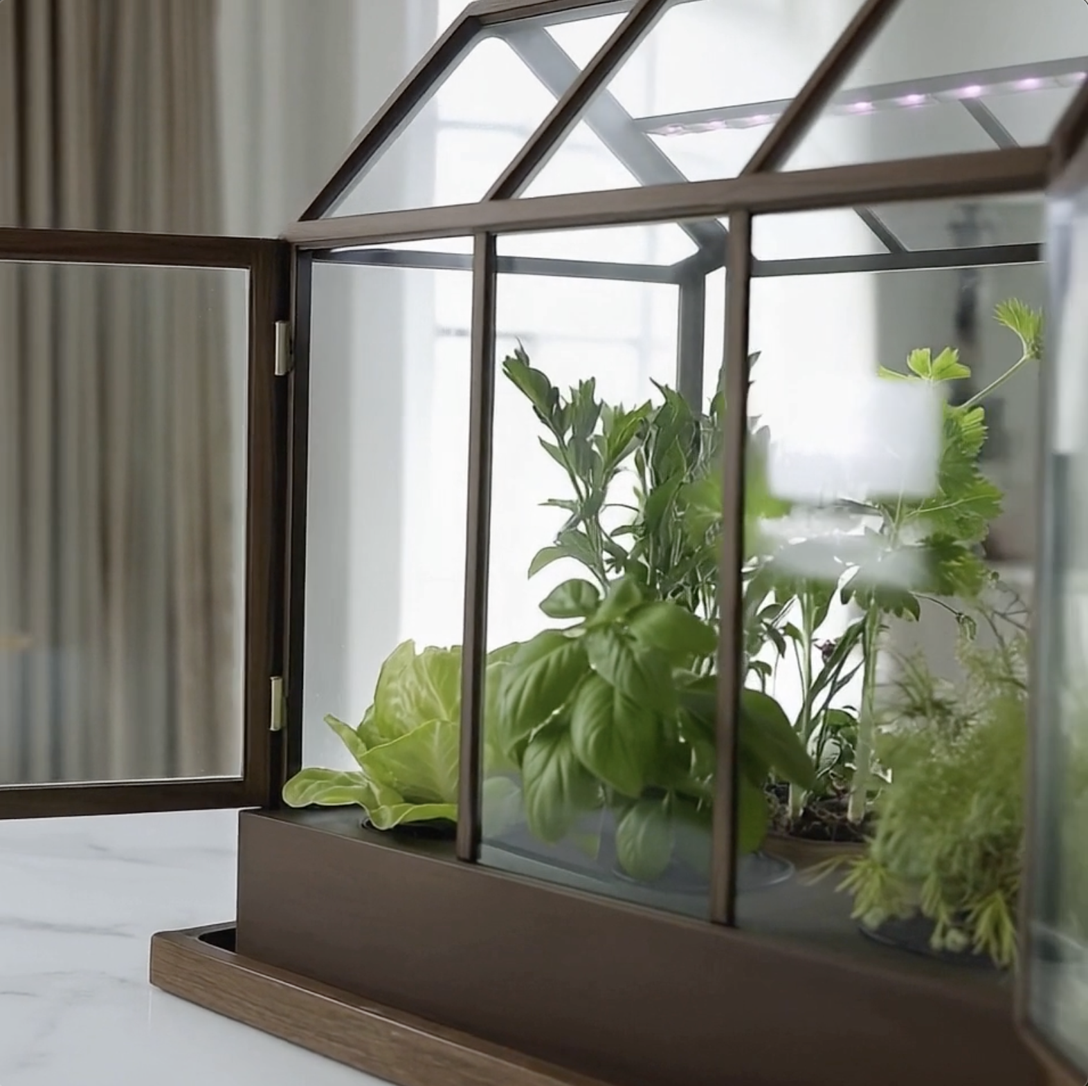 Close-up of the Herbi countertop greenhouse in solid beech wood, filled with fresh basil, lettuce and parsley